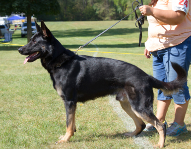 Bball azog z glaurung stack 21 month